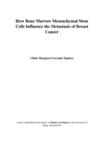 How Bone Marrow Mesenchymal Stem Cells Influence the Metastasis of Breast Cancer