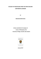 Ecology of meiofauna from the New Zealand continental margin