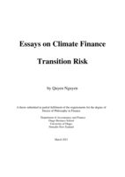 Essays on climate finance transition risk