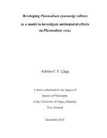 Developing Plasmodium cynomolgi culture  as a model to investigate antimalarial effects on Plasmodium vivax