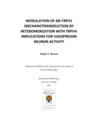 Modulation of ΔN-TRPV1 mechanotransduction by heteromerization with TRPV4: Implications for vasopressin neuron activity