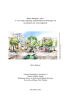 More than just a road? A case study exploring implementation challenges for sustainable city redevelopment