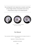 Size and growth rate responses to oceanic warming of the Otago Harbour Serpulidae tube worms (Polychaeta) using in situ heated panels