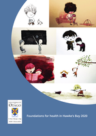 Foundations for health in the Hawke's Bay region 2020
