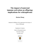 The impact of maternal  immune activation on offspring:  implications for schizophrenia