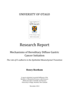 Mechanisms of Hereditary Diffuse Gastric Cancer Initiation: The role of E-cadherin in the Epithelial-Mesenchymal Transition