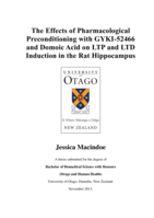 The Effects of Pharmacological Preconditioning with GYKI-52466 and Domoic Acid on LTP and LTD Induction in the Rat Hippocampus