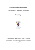 Exosome mRNA localisation: Directing mRNA localisation to exosomes