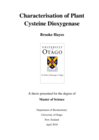 Characterisation of Plant Cysteine Dioxygenase