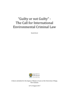 Guilty or not Guilty - The Call for International Environmental Criminal Law