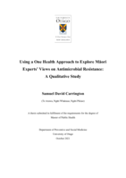 Using a One Health Approach to Explore Māori Experts' Views on Antimicrobial Resistance: A Qualitative Study