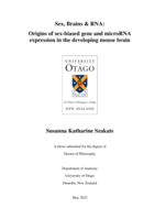 Sex, Brains & RNA: Origins of sex-biased gene and microRNA expression in the developing mouse brain