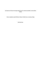 The Experience of Alcohol Use amongst Individuals with an Intellectual Disability in Aotearoa/New Zealand