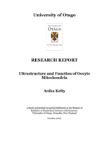 Ultrastructure and Function of Oocyte Mitochondria