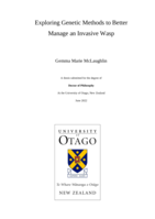 Exploring genetic methods to better manage an invasive wasp