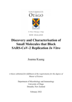 Discovery and Characterisation of Small Molecules that Block  SARS-CoV-2 Replication In Vitro