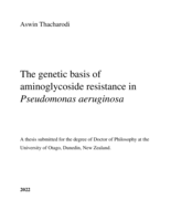 The genetic basis of aminoglycoside resistance in Pseudomonas aeruginosa