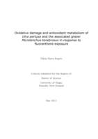 Oxidative damage and antioxidant metabolism of Ulva pertusa and the associated grazer Micrelenchus tenebrosus in response to fluoranthene exposure