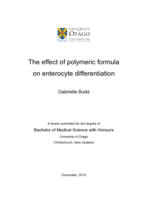 The effect of polymeric formula on enterocyte differentiation