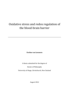 Oxidative stress and redox regulation of the blood-brain barrier