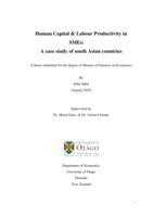 Human Capital & Labour Productivity in SMEs: A case study of South Asian Countries