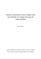 Abundance and distribution of Hector's dolphins off the coast of Dunedin, New Zealand, and overlap with commercial fishing