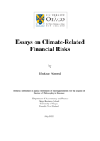 Essays on climate-related financial risks