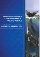 The Determinants of Health for  Children and Young People in the Hutt Valley, Capital & Coast and the Wairarapa DHBs (2014)