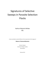 Signatures of Selective Sweeps in Parasite Selection Flocks