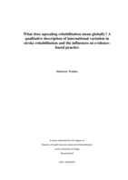 What does upscaling stroke rehabilitation mean globally? A qualitative description of international variation in stroke rehabilitation and the influences on evidence-based practice