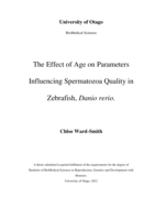 The Effect of Age on Parameters Influencing Spermatozoa Quality in  Zebrafish, Danio rerio.