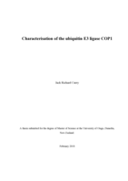 Characterisation of the ubiquitin E3 ligase COP1