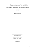 Characterisation of the lncRNA hMaTAR20 as a novel oncogene in breast cancer