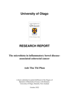 The microbiota in inflammatory bowel disease- associated colorectal cancer