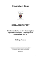 Development of an in vitro Transcription System to Investigate Transcriptional Adaptation in BRCA1