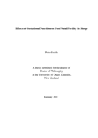 Effects of Gestational Nutrition on Post-Natal Fertility in Sheep