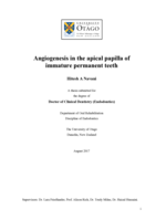 Angiogenesis in the apical papilla of immature permanent teeth