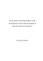 Involvement of NAD biosynthesis in the development of stress-induced mutation in Mesorhizobium loti strain R7A