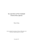 Ice activities in New Zealand Chionochloa species