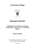 Pathological Assessment of Lysosomal Dysfunction in Astrocytes in CLN6 Batten Disease