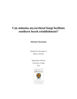 Can mānuka mycorrhizal fungi facilitate southern beech establishment?