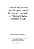 17α-hydroxylase and the androgen-treated sheep ovary – a model for Polycystic Ovary Syndrome (PCOS)