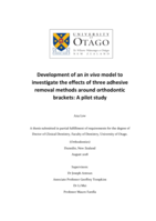 Development of an in vivo model to investigate the effects of three adhesive removal methods around orthodontic brackets: A pilot study
