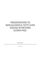 Predisposition to Non Alcoholic Fatty Liver Disease in Preterm Guinea Pigs