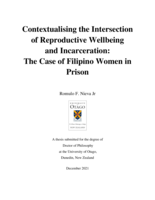Contextualising the intersection of reproductive wellbeing and incarceration: The case of Filipino women in prison