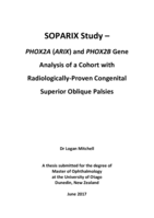 SOPARIX Study – PHOX2A (ARIX) and PHOX2B Gene Analysis of a Cohort with Radiologically-Proven Congenital Superior Oblique Palsies