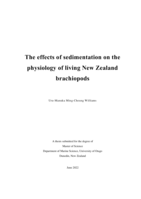 The effects of sedimentation on the physiology of living New Zealand brachiopods