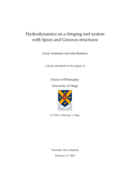 Hydrodynamics on a fringing reef system with Spurs and Grooves structures