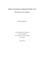 Entry of antisense oligonucleotides into Streptococcus mutans