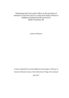 Estimating mark rate and its effect on the precision of estimates of survival rate for a long-term study of Hector’s dolphins (Cephalorhynchus hectori) at Banks Peninsula, NZ